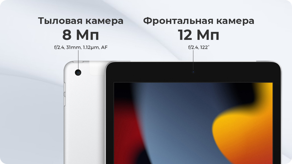 Apple iPad (2021) Wi-Fi 256Gb Серебристый